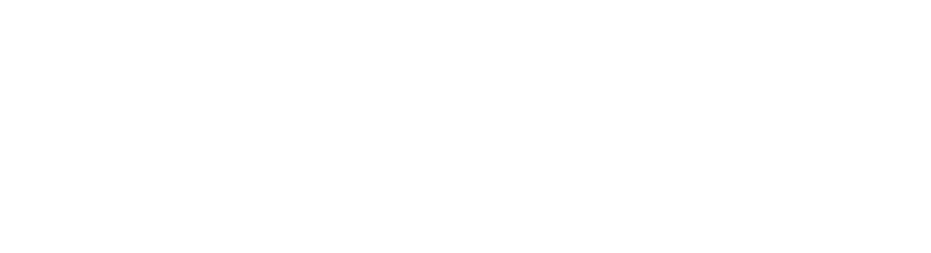 Duroguard Steel doors